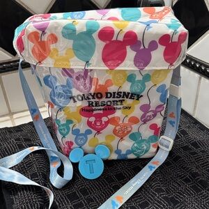 Tokyo Disneyland Popcorn Bag